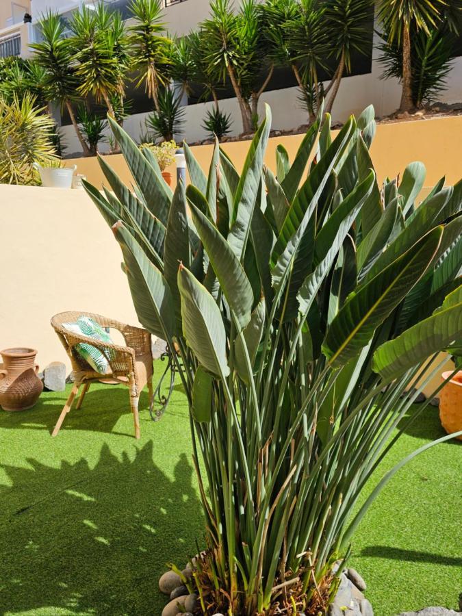 New Holiday Home Beautiful Sea View With Aircon, Costa Adeje Costa Adeje  Exterior photo